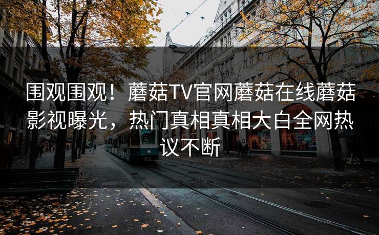 围观围观！蘑菇TV官网蘑菇在线蘑菇影视曝光，热门真相真相大白全网热议不断