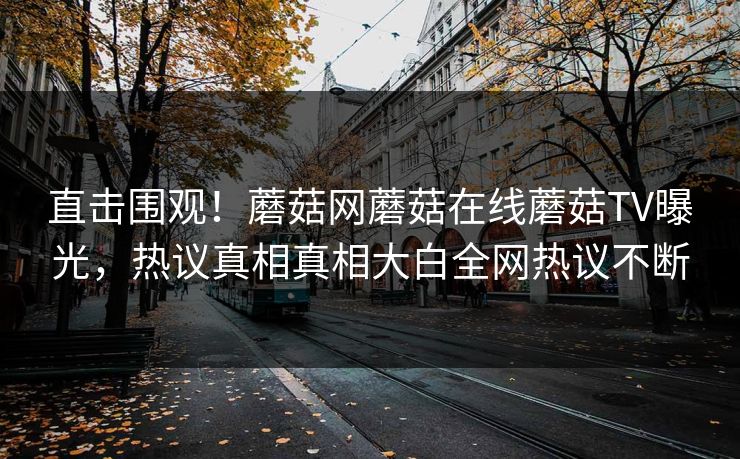 直击围观！蘑菇网蘑菇在线蘑菇TV曝光，热议真相真相大白全网热议不断