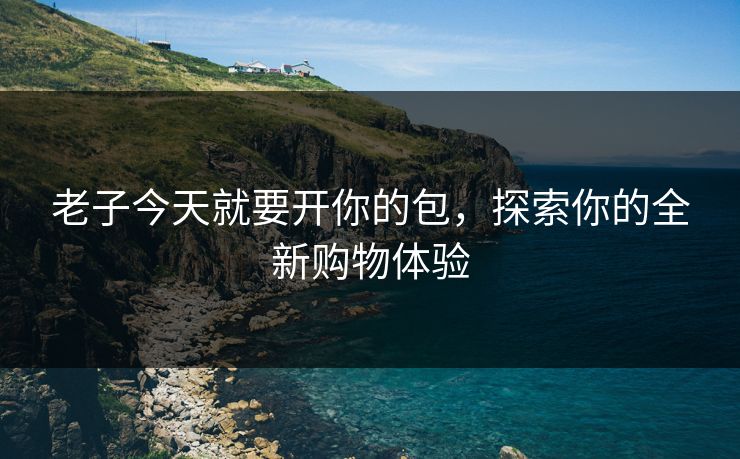 老子今天就要开你的包，探索你的全新购物体验