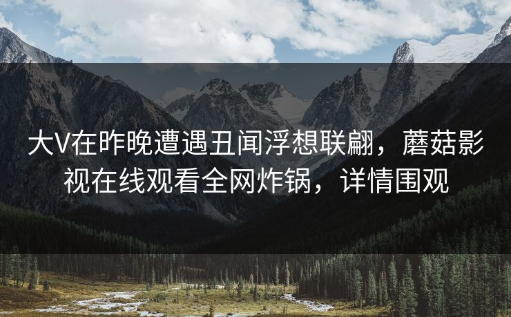 大V在昨晚遭遇丑闻浮想联翩，蘑菇影视在线观看全网炸锅，详情围观