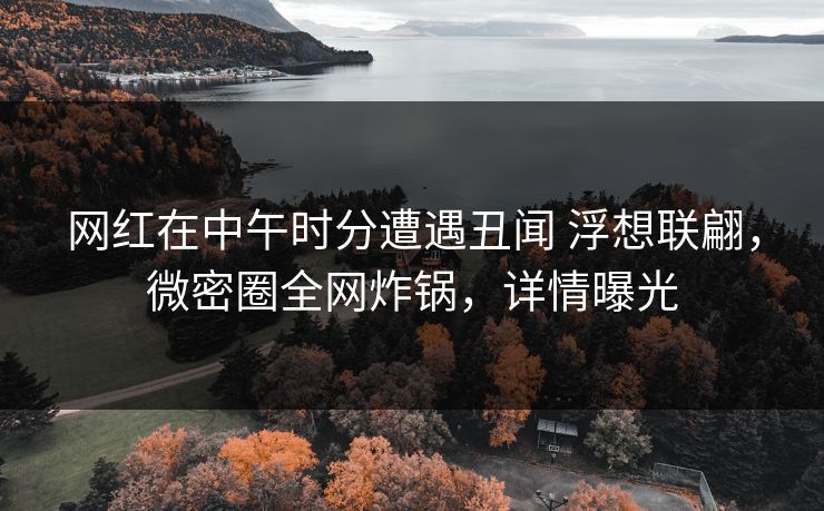 网红在中午时分遭遇丑闻 浮想联翩，微密圈全网炸锅，详情曝光